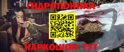 прущие грибы Кунгур