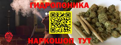 прущие грибы Кунгур