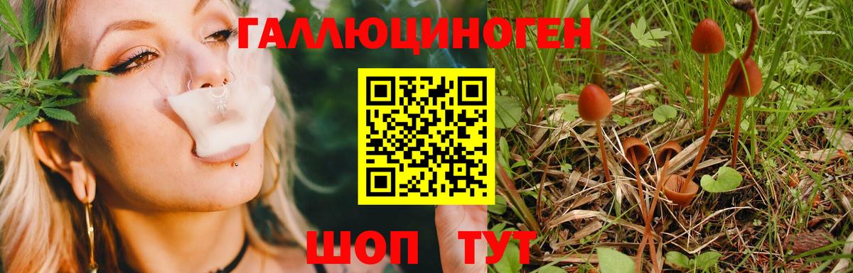 Галлюциногенные грибы мицелий Долгопрудный